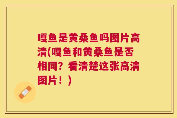 嘎鱼是黄桑鱼吗图片高清(嘎鱼和黄桑鱼是否相同？看清楚这张高清图片！)