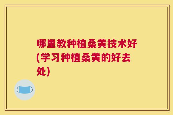 哪里教种植桑黄技术好(学习种植桑黄的好去处) 哪里教种植桑黄技术好(学习种植桑黄的好去处)