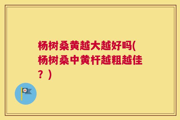 杨树桑黄越大越好吗(杨树桑中黄杆越粗越佳?) 杨树桑黄越大越好吗(杨树桑中黄杆越粗越佳?)