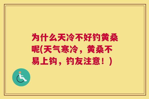 为什么天冷不好钓黄桑呢(天气寒冷,黄桑不易上钩,钓友注意!) 为什么天冷不好钓黄桑呢(天气寒冷,黄桑不易上钩,钓友注意!)