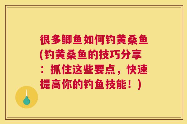 很多鲫鱼如何钓黄桑鱼(钓黄桑鱼的技巧分享:抓住这些要点,快速提高你的钓鱼技能!) 很多鲫鱼如何钓黄桑鱼(钓黄桑鱼的技巧分享:抓住这些要点,快速提高你的钓鱼技能!)