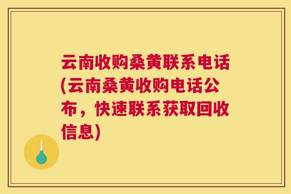 云南收购桑黄联系电话(云南桑黄收购电话公布,快速联系获取回收信息) 云南收购桑黄联系电话(云南桑黄收购电话公布,快速联系获取回收信息)