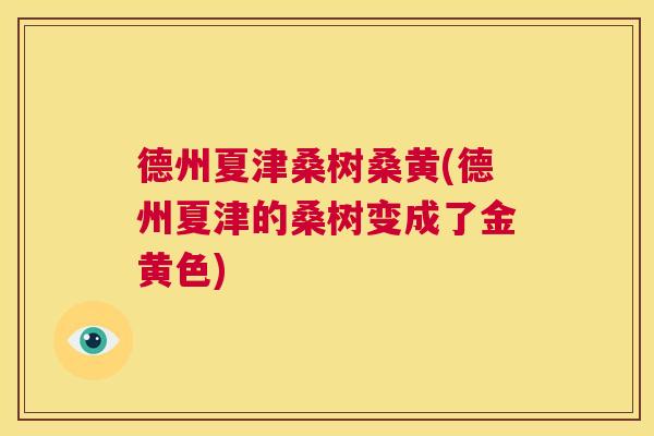 德州夏津桑树桑黄(德州夏津的桑树变成了金黄色) 德州夏津桑树桑黄(德州夏津的桑树变成了金黄色)