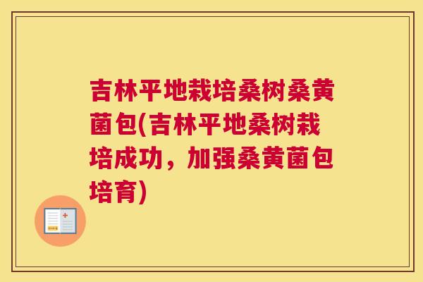 吉林平地栽培桑树桑黄菌包(吉林平地桑树栽培成功,加强桑黄菌包培育) 吉林平地栽培桑树桑黄菌包(吉林平地桑树栽培成功,加强桑黄菌包培育)