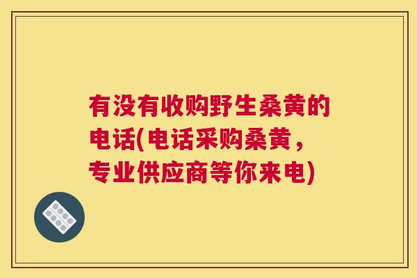有没有收购野生桑黄的电话(电话采购桑黄,专业供应商等你来电) 有没有收购野生桑黄的电话(电话采购桑黄,专业供应商等你来电)