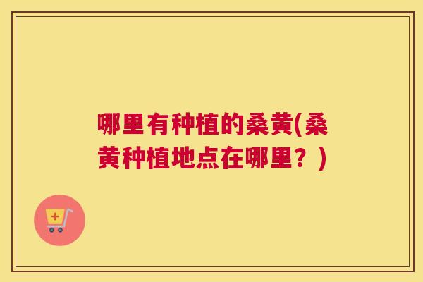 哪里有种植的桑黄(桑黄种植地点在哪里?) 哪里有种植的桑黄(桑黄种植地点在哪里?)