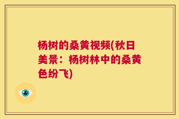 杨树的桑黄视频(秋日美景:杨树林中的桑黄色纷飞) 杨树的桑黄视频(秋日美景:杨树林中的桑黄色纷飞)