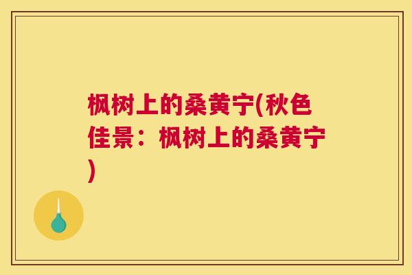 枫树上的桑黄宁(秋色佳景:枫树上的桑黄宁) 枫树上的桑黄宁(秋色佳景:枫树上的桑黄宁)