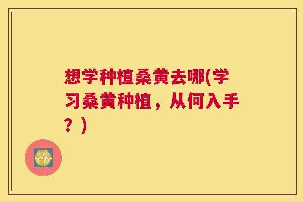 想学种植桑黄去哪(学习桑黄种植,从何入手?) 想学种植桑黄去哪(学习桑黄种植,从何入手?)