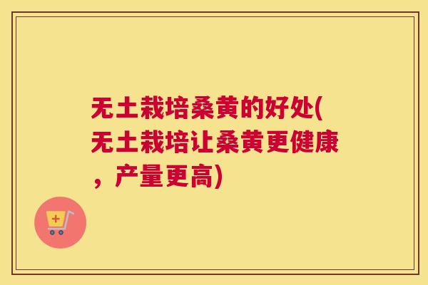 无土栽培桑黄的好处(无土栽培让桑黄更健康,产量更高) 无土栽培桑黄的好处(无土栽培让桑黄更健康,产量更高)