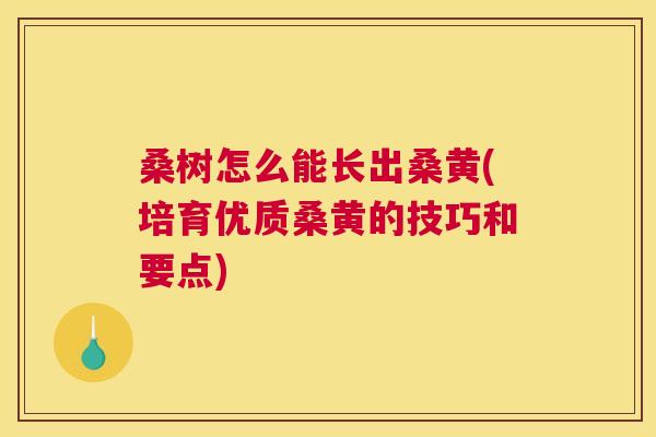 桑树怎么能长出桑黄(培育优质桑黄的技巧和要点) 桑树怎么能长出桑黄(培育优质桑黄的技巧和要点)