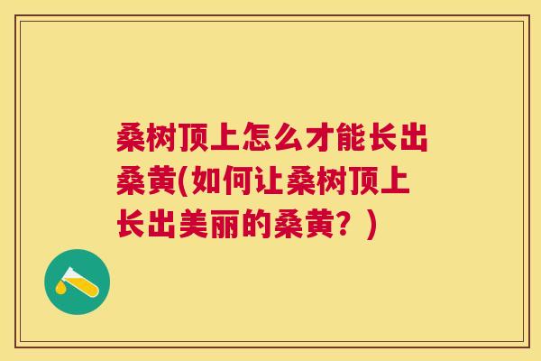 桑树顶上怎么才能长出桑黄(如何让桑树顶上长出美丽的桑黄?) 桑树顶上怎么才能长出桑黄(如何让桑树顶上长出美丽的桑黄?)