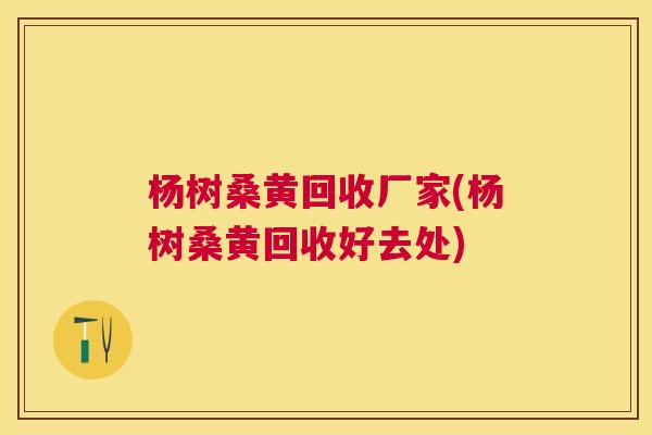 杨树桑黄回收厂家(杨树桑黄回收好去处) 杨树桑黄回收厂家(杨树桑黄回收好去处)