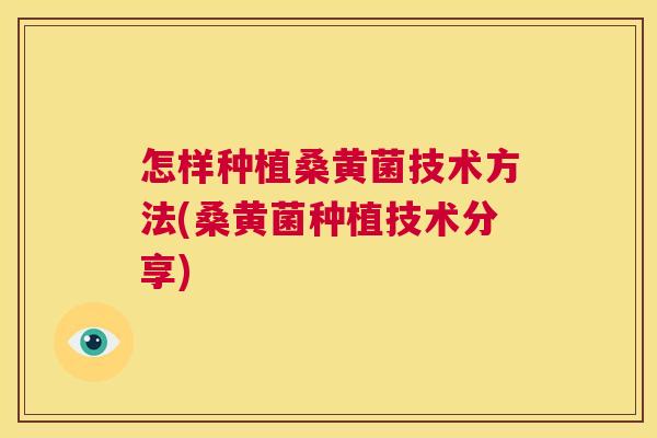 怎样种植桑黄菌技术方法(桑黄菌种植技术分享) 怎样种植桑黄菌技术方法(桑黄菌种植技术分享)