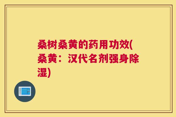 桑树桑黄的药用功效(桑黄:汉代名剂强身除湿) 桑树桑黄的药用功效(桑黄:汉代名剂强身除湿)
