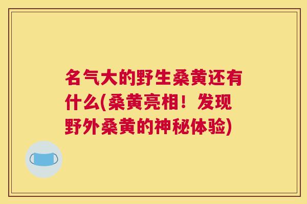 名气大的野生桑黄还有什么(桑黄亮相!发现野外桑黄的神秘体验) 名气大的野生桑黄还有什么(桑黄亮相!发现野外桑黄的神秘体验)