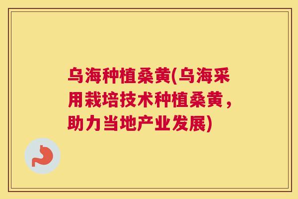 乌海种植桑黄(乌海采用栽培技术种植桑黄,助力当地产业发展) 乌海种植桑黄(乌海采用栽培技术种植桑黄,助力当地产业发展)