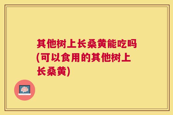 其他树上长桑黄能吃吗(可以食用的其他树上长桑黄) 其他树上长桑黄能吃吗(可以食用的其他树上长桑黄)