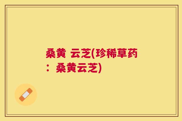 桑黄 云芝(珍稀草药:桑黄云芝) 桑黄 云芝(珍稀草药:桑黄云芝)