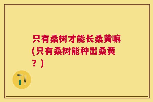 只有桑树才能长桑黄嘛(只有桑树能种出桑黄？)