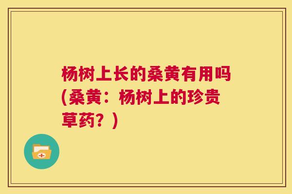 杨树上长的桑黄有用吗(桑黄:杨树上的珍贵草药?) 杨树上长的桑黄有用吗(桑黄:杨树上的珍贵草药?)