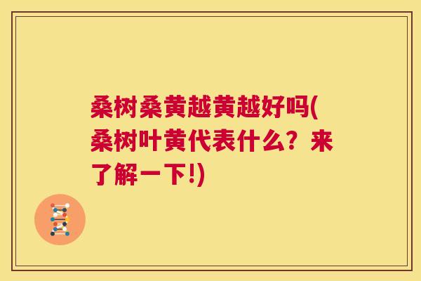 桑树桑黄越黄越好吗(桑树叶黄代表什么?来了解一下!) 桑树桑黄越黄越好吗(桑树叶黄代表什么?来了解一下!)