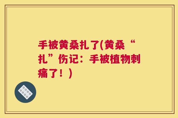 手被黄桑扎了(黄桑“扎”伤记:手被植物刺痛了!) 手被黄桑扎了(黄桑“扎”伤记:手被植物刺痛了!)