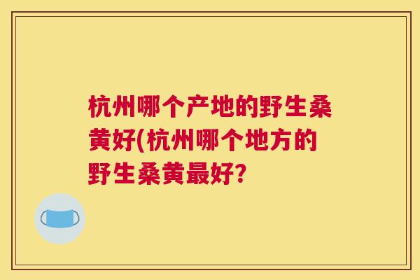 杭州哪个产地的野生桑黄好(杭州哪个地方的野生桑黄好? 杭州哪个产地的野生桑黄好(杭州哪个地方的野生桑黄好?