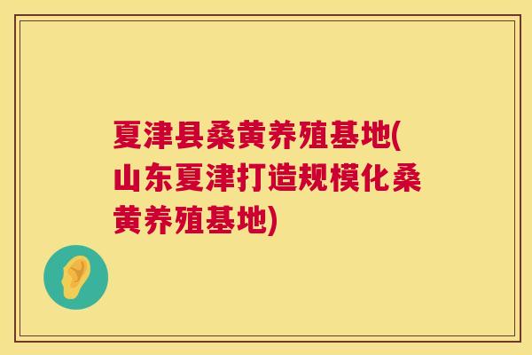 夏津县桑黄养殖基地(山东夏津打造规模化桑黄养殖基地) 夏津县桑黄养殖基地(山东夏津打造规模化桑黄养殖基地)