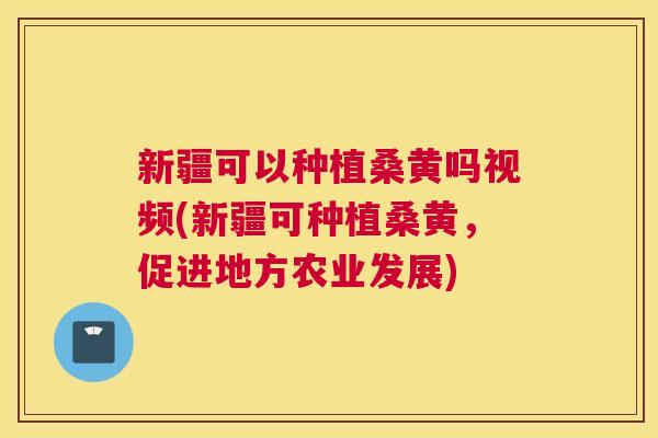 新疆可以种植桑黄吗视频(新疆可种植桑黄,促进地方农业发展) 新疆可以种植桑黄吗视频(新疆可种植桑黄,促进地方农业发展)