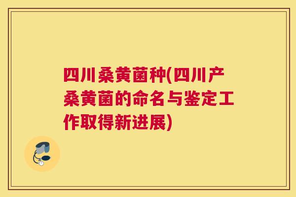 四川桑黄菌种(四川产桑黄菌的命名与鉴定工作取得新进展) 四川桑黄菌种(四川产桑黄菌的命名与鉴定工作取得新进展)