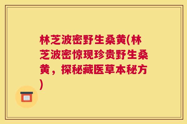 林芝波密野生桑黄(林芝波密惊现珍贵野生桑黄,探秘藏医草本秘方) 林芝波密野生桑黄(林芝波密惊现珍贵野生桑黄,探秘藏医草本秘方)