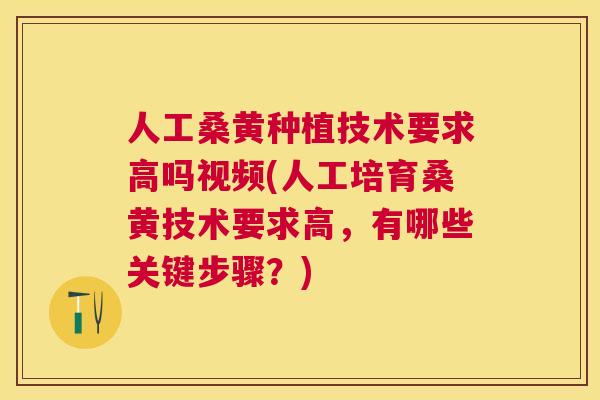 人工桑黄种植技术要求高吗视频(人工培育桑黄技术要求高,有哪些关键步骤?) 人工桑黄种植技术要求高吗视频(人工培育桑黄技术要求高,有哪些关键步骤?)