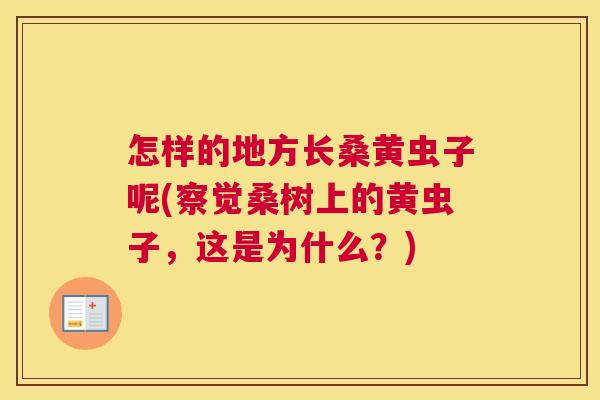 怎样的地方长桑黄虫子呢(察觉桑树上的黄虫子,这是为什么?) 怎样的地方长桑黄虫子呢(察觉桑树上的黄虫子,这是为什么?)