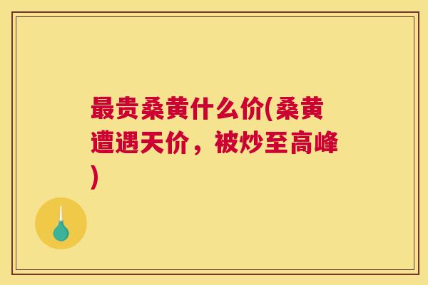 贵桑黄什么价(桑黄遭遇天价,被炒至高峰) 贵桑黄什么价(桑黄遭遇天价,被炒至高峰)