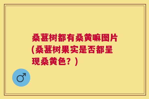 桑葚树都有桑黄嘛图片(桑葚树果实是否都呈现桑黄色?) 桑葚树都有桑黄嘛图片(桑葚树果实是否都呈现桑黄色?)