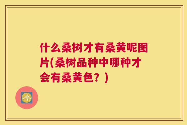 什么桑树才有桑黄呢图片(桑树品种中哪种才会有桑黄色?) 什么桑树才有桑黄呢图片(桑树品种中哪种才会有桑黄色?)