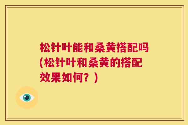 松针叶能和桑黄搭配吗(松针叶和桑黄的搭配效果如何？)