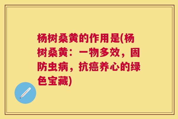 杨树桑黄的作用是(杨树桑黄:一物多效,固防虫,抗养心的绿色宝藏) 杨树桑黄的作用是(杨树桑黄:一物多效,固防虫,抗养心的绿色宝藏)
