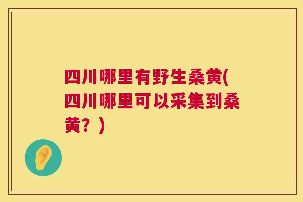 四川哪里有野生桑黄(四川哪里可以采集到桑黄?) 四川哪里有野生桑黄(四川哪里可以采集到桑黄?)