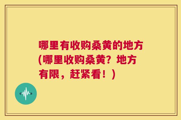 哪里有收购桑黄的地方(哪里收购桑黄?地方有限,赶紧看!) 哪里有收购桑黄的地方(哪里收购桑黄?地方有限,赶紧看!)
