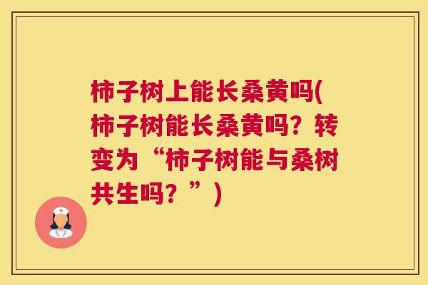柿子树上能长桑黄吗(柿子树能长桑黄吗?转变为“柿子树能与桑树共生吗?”) 柿子树上能长桑黄吗(柿子树能长桑黄吗?转变为“柿子树能与桑树共生吗?”)