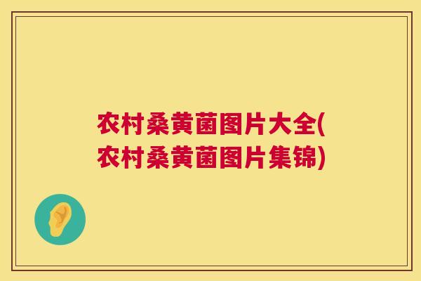 农村桑黄菌图片大全(农村桑黄菌图片集锦) 农村桑黄菌图片大全(农村桑黄菌图片集锦)