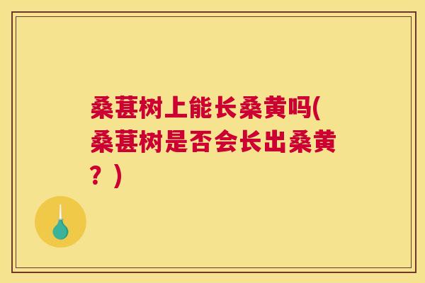 桑葚树上能长桑黄吗(桑葚树是否会长出桑黄?) 桑葚树上能长桑黄吗(桑葚树是否会长出桑黄?)