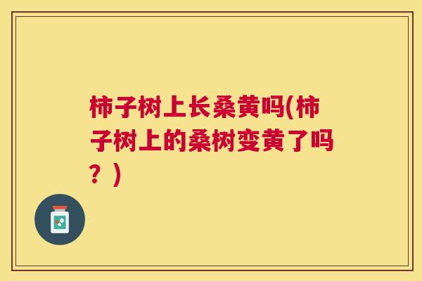 柿子树上长桑黄吗(柿子树上的桑树变黄了吗?) 柿子树上长桑黄吗(柿子树上的桑树变黄了吗?)