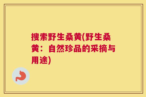 搜索野生桑黄(野生桑黄:自然珍品的采摘与用途) 搜索野生桑黄(野生桑黄:自然珍品的采摘与用途)