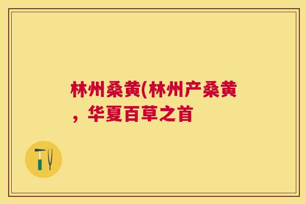 林州桑黄(林州产桑黄,华夏百草之首 林州桑黄(林州产桑黄,华夏百草之首