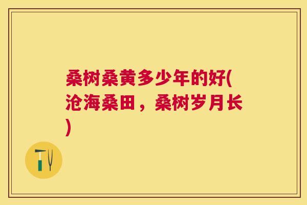 桑树桑黄多少年的好(沧海桑田,桑树岁月长) 桑树桑黄多少年的好(沧海桑田,桑树岁月长)