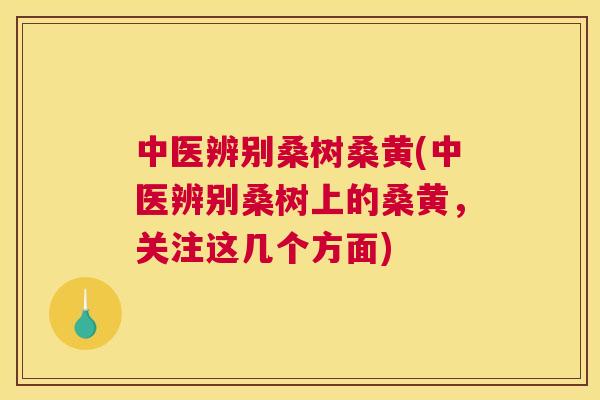 中医辨别桑树桑黄(中医辨别桑树上的桑黄,关注这几个方面) 中医辨别桑树桑黄(中医辨别桑树上的桑黄,关注这几个方面)
