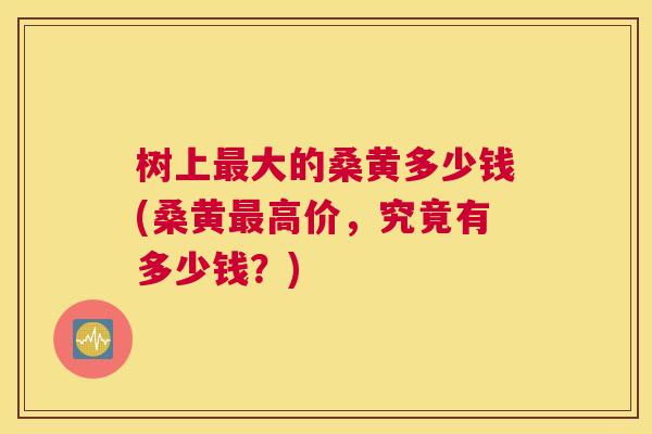 树上大的桑黄多少钱(桑黄高价,究竟有多少钱?) 树上大的桑黄多少钱(桑黄高价,究竟有多少钱?)